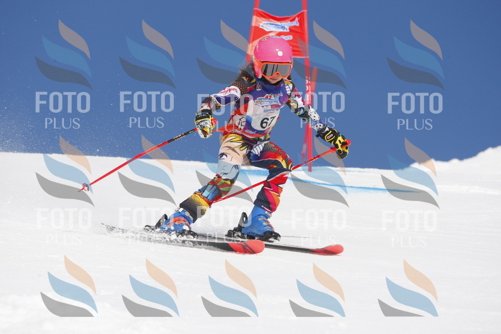 _W1G0980 | holidayphoto