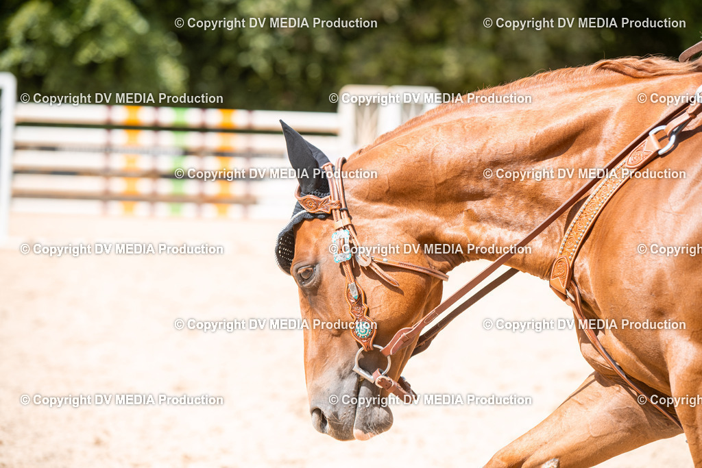 EWP_6670 | dv-media-shop - Realisiert mit Pictrs.com