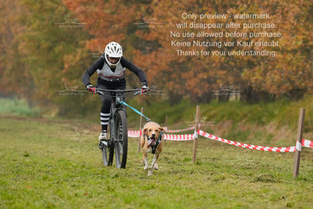 Visbeck_Sa_Bike-44 | stephaniefillaphotographie - Realisiert mit Pictrs.com