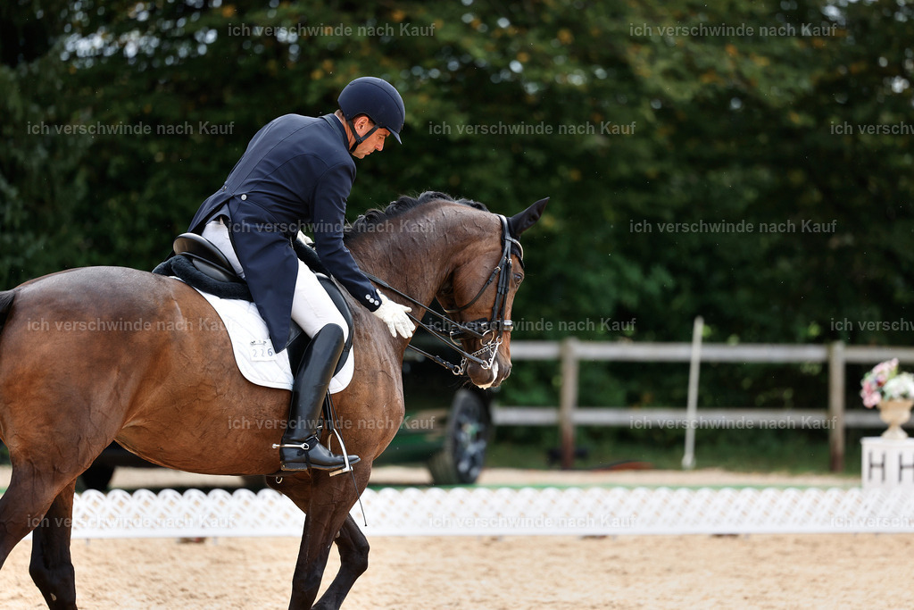 11-226-Dressur S___-StoibPH-1036 | working equitationturnier fotograf videograf stoibphotography marixx film working equitation deutschland reitsport turnierfotografie eventfotografie equestrian events