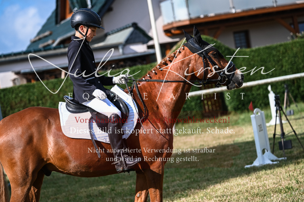 DSC_7769 | Pferde- und Turnierfotografie in Westsachsen. Pferdeportraits, Auftragszeichnungen und intuitive Kunst.