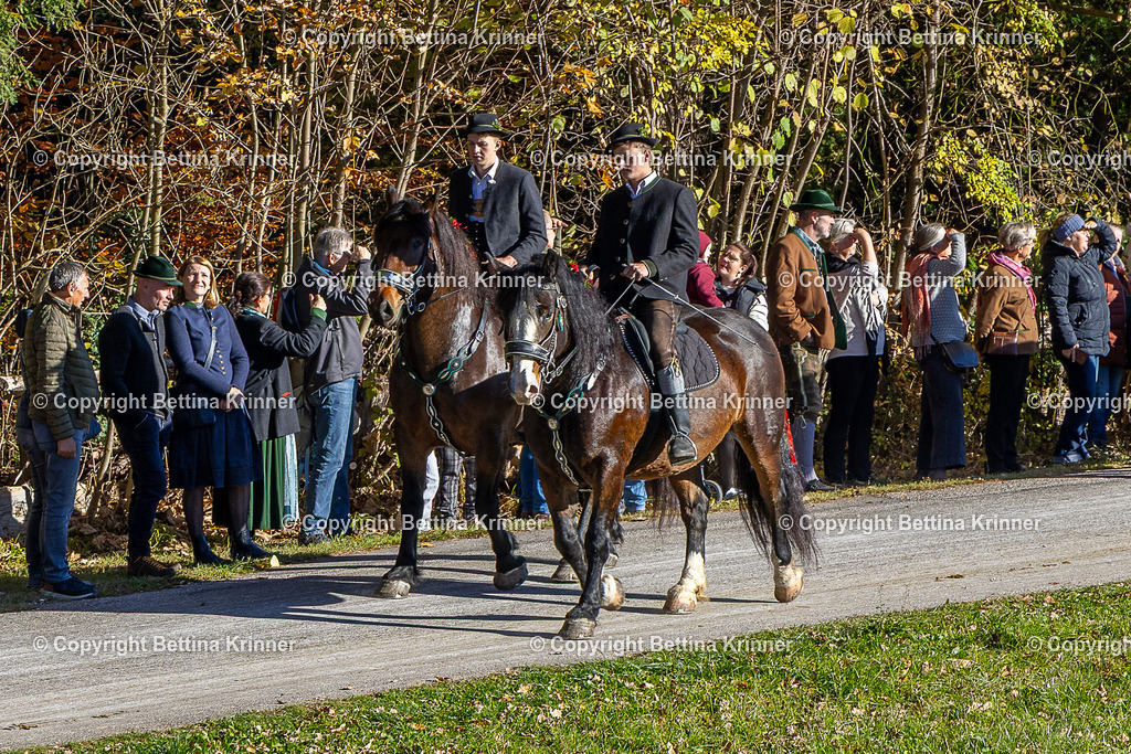 LBT25-685 | foto-bettina-krinner - Realisiert mit Pictrs.com