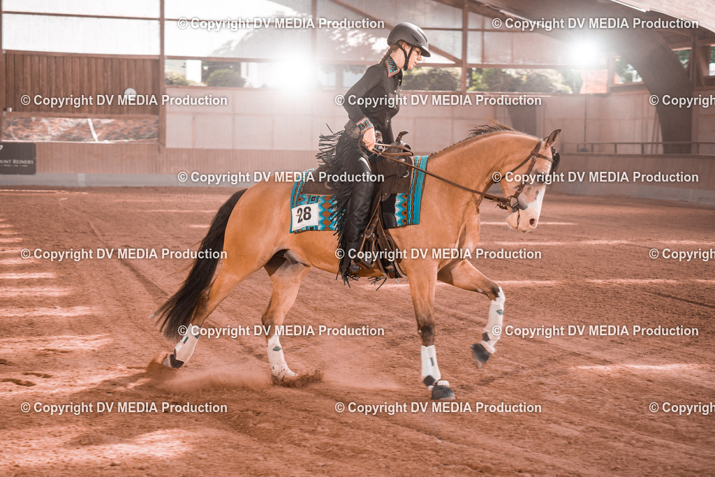 NE201112 | dv-media-shop - Realisiert mit Pictrs.com