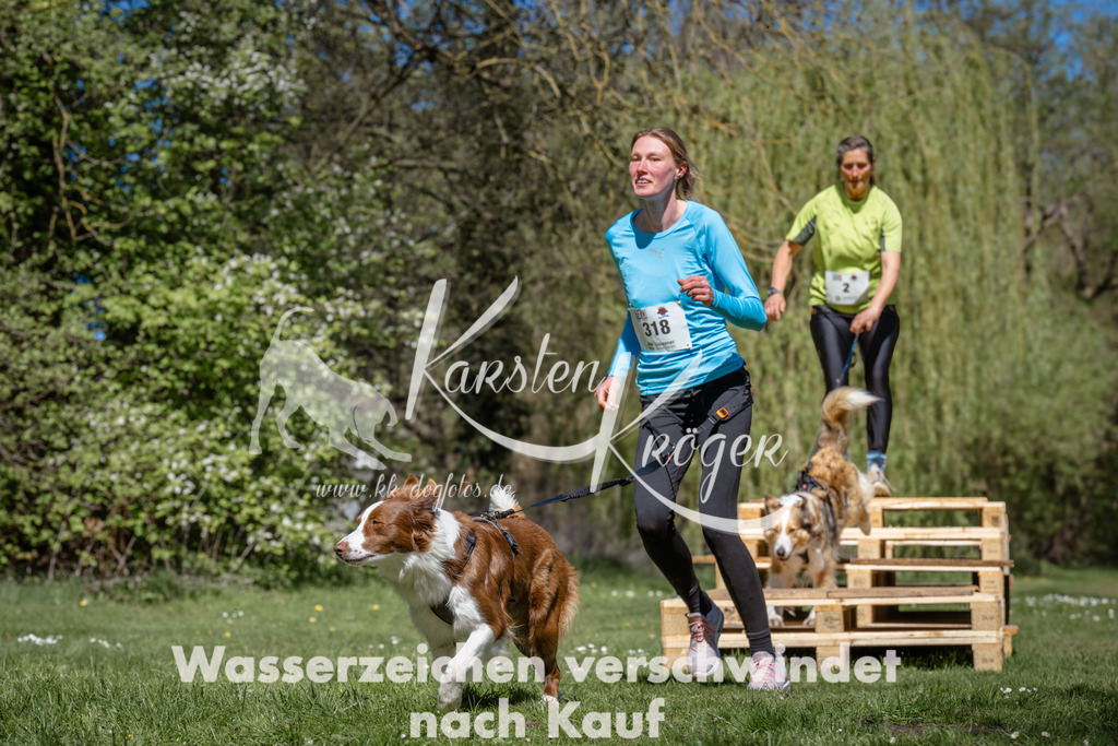1210_ZZ90860 | kk-dogfotos