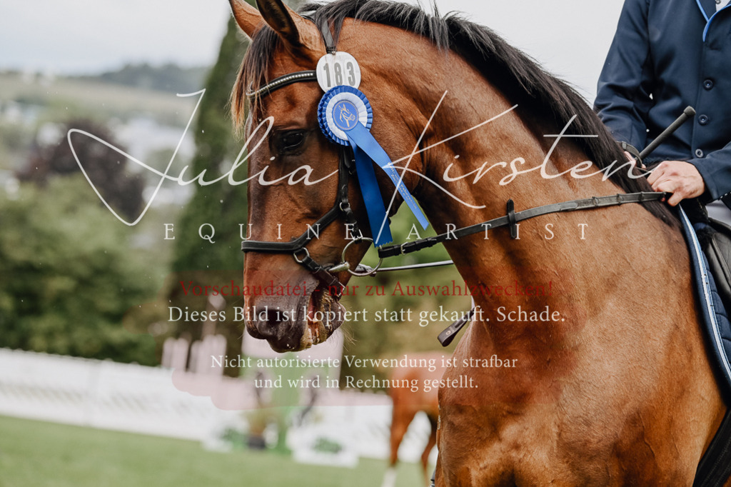 DSC_7115 | Pferde- und Turnierfotografie in Westsachsen. Pferdeportraits, Auftragszeichnungen und intuitive Kunst.