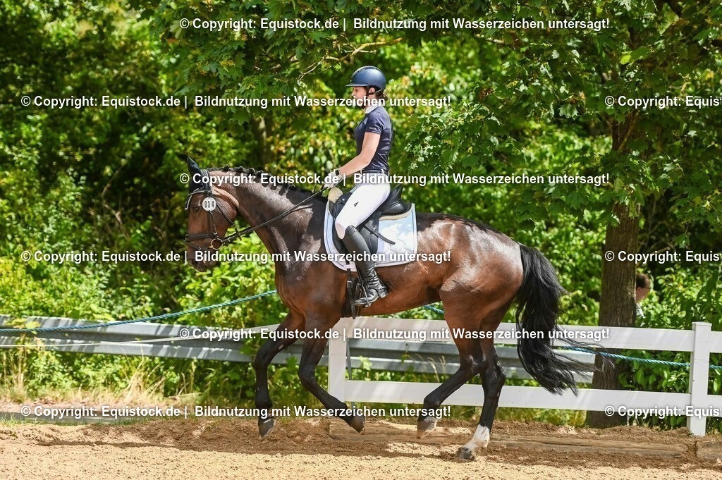 20230715_05_Dressurprüfung Kl.A++_0221 | equistock
