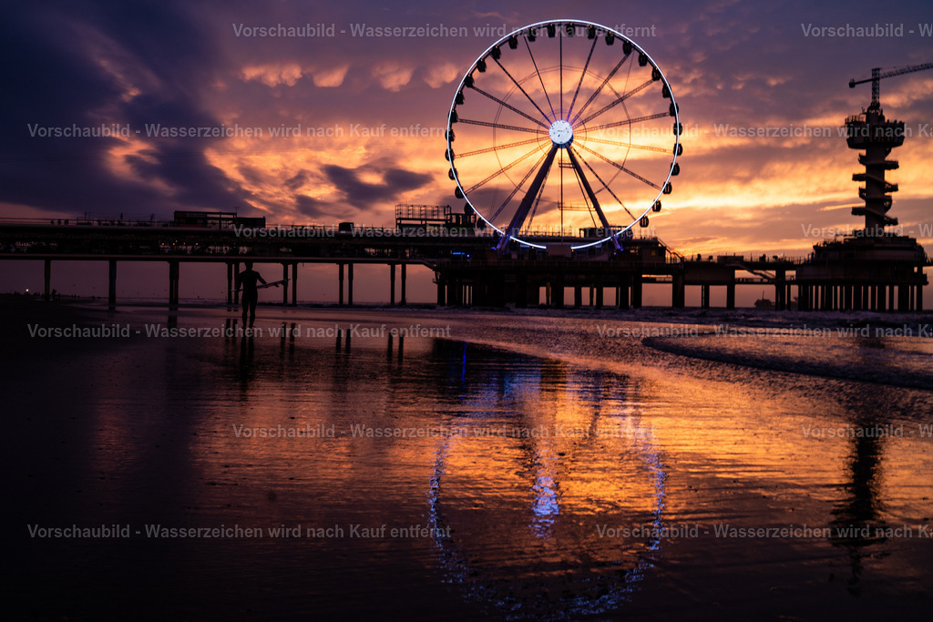 DSC00654 | marcuslinek