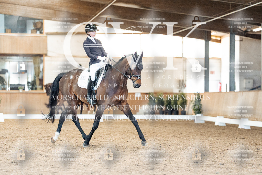 CK909268 | Turnierfotografie Pferdefotografie Trier Rheinland-Pfalz Pferdesport Reitsport Tierfotografie Sportfotografie Pferdevideo Pferdevideografie Equestrianvideography equestrianphotography  - Realized with Pictrs.com