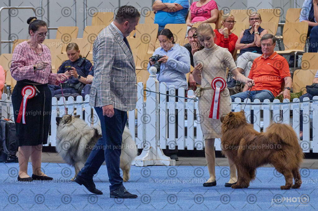 202406_ÖKV-IHA-Tulln24_DSC_5020 | proPHOTO - Realisiert mit Pictrs.com