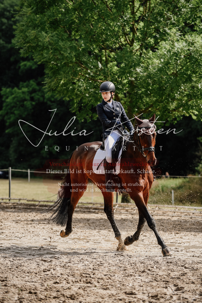 DSC_9579 | Pferde- und Turnierfotografie in Westsachsen. Pferdeportraits, Auftragszeichnungen und intuitive Kunst.