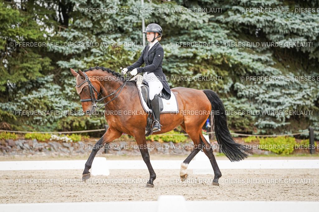 DSC05507 | Pferdegrafie