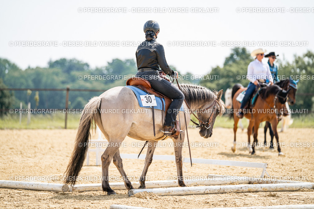 DSC09948 | Pferdegrafie