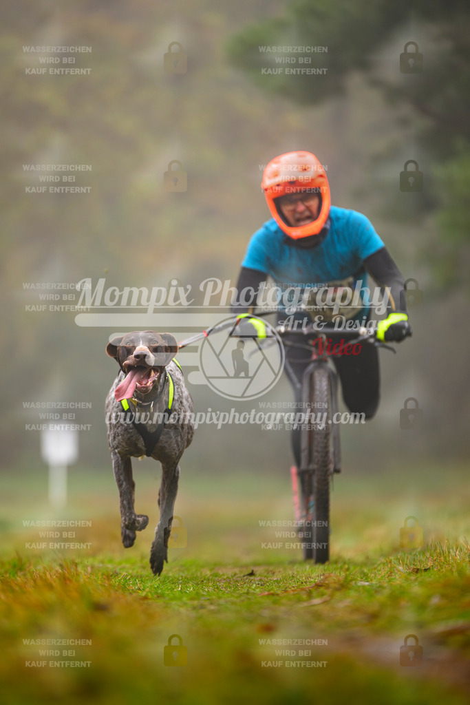 MompixPhotography_Bischwiller2025_Scooter-18 | mompixphotography