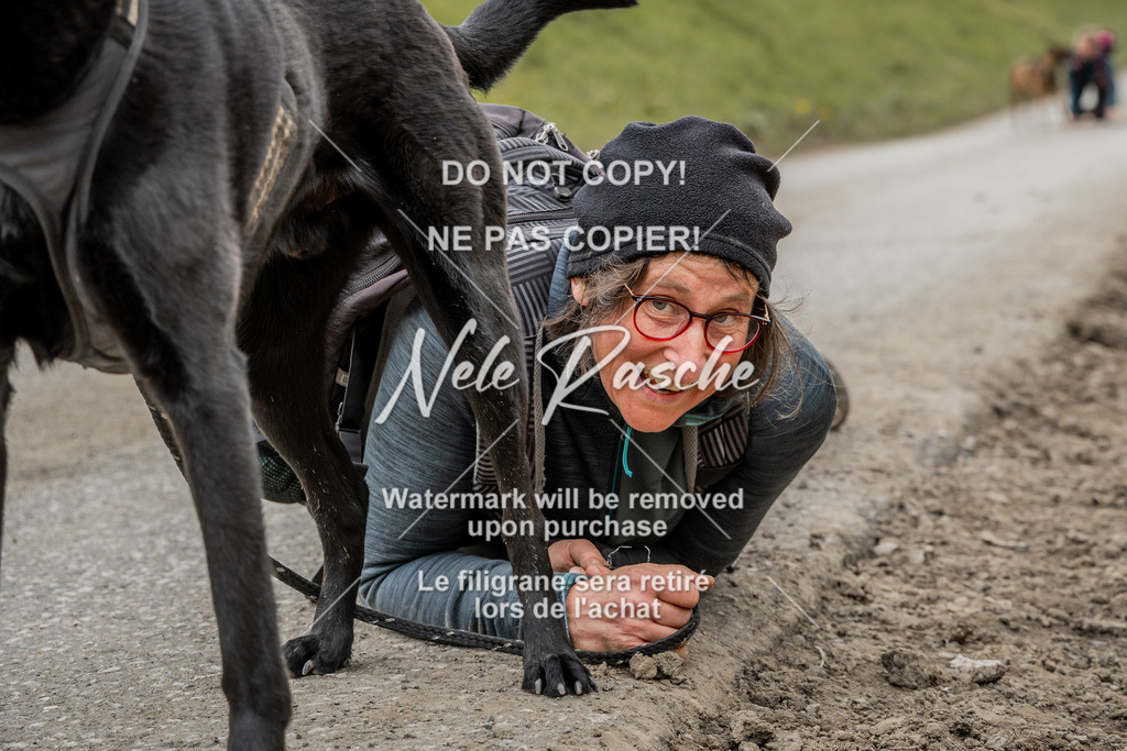 NR__2943 | nelerasche