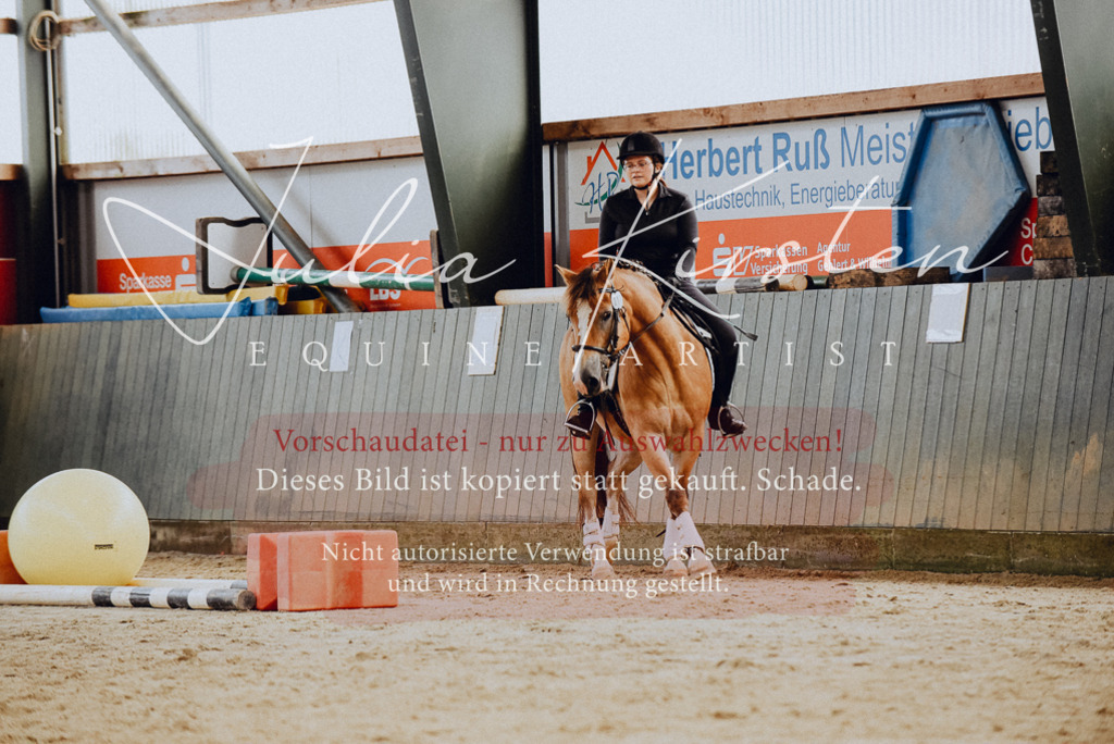 DSC_6797 | Pferde- und Turnierfotografie in Westsachsen. Pferdeportraits, Auftragszeichnungen und intuitive Kunst.