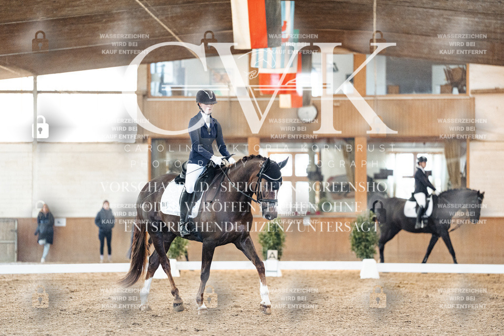 CK906803 | Turnierfotografie Pferdefotografie Trier Rheinland-Pfalz Pferdesport Reitsport Tierfotografie Sportfotografie Pferdevideo Pferdevideografie Equestrianvideography equestrianphotography  - Realisiert mit Pictrs.com