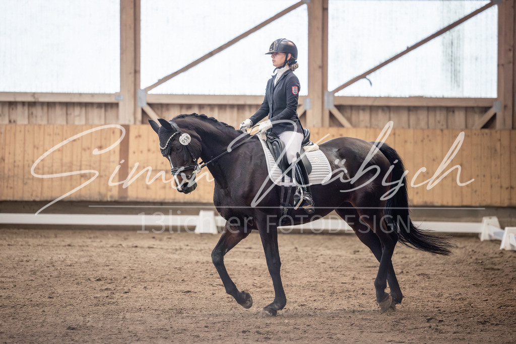 20251011-_3LI0229 | Tierfotografie Pferde, Hunde, Katzen, Haustiere.
Turnierfotografie Reitturniere, Reiten, Springreiten, Dressur in Hanau, dem Main-Kinzig-Kreis und dem Rhein-Main- Gebiet um Frankfurt