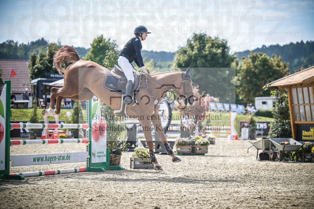 DOS_8253 | Entdecke hochwertige Reitturnierfotos von Foto Oger. Professionell, emotional und authentisch – jetzt Lieblingsmomente im Shop bestellen.Deutschlandweite Turnierfotografie. - Realisiert mit Pictrs.com