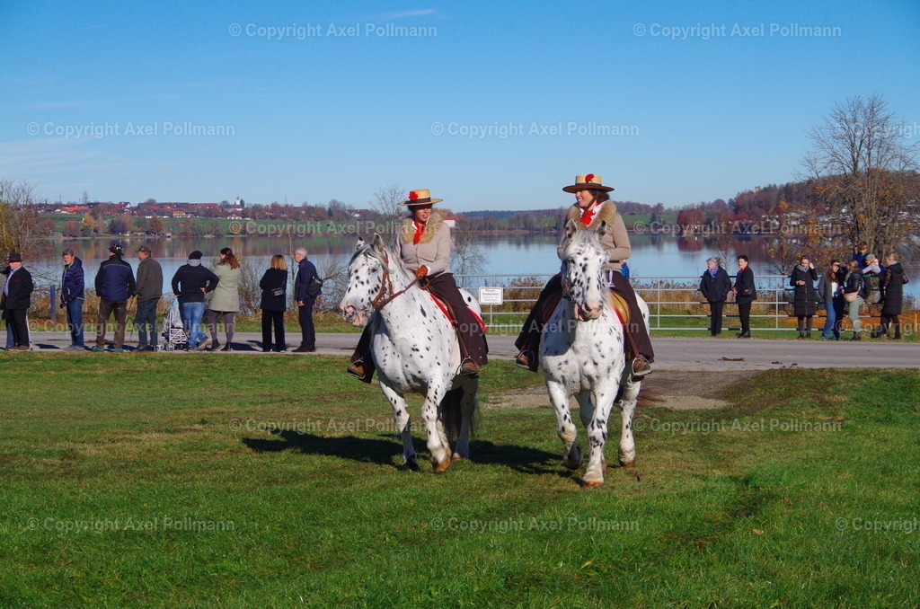 IMGP7515 | fotografiert von Axel PollmannLeonhardi Wallfahrt Benediktbeuern und Murnau, Fronleichnam, Fasching, Landschaft im Loisachtal und Benediktbeuern  - Realisiert mit Pictrs.com