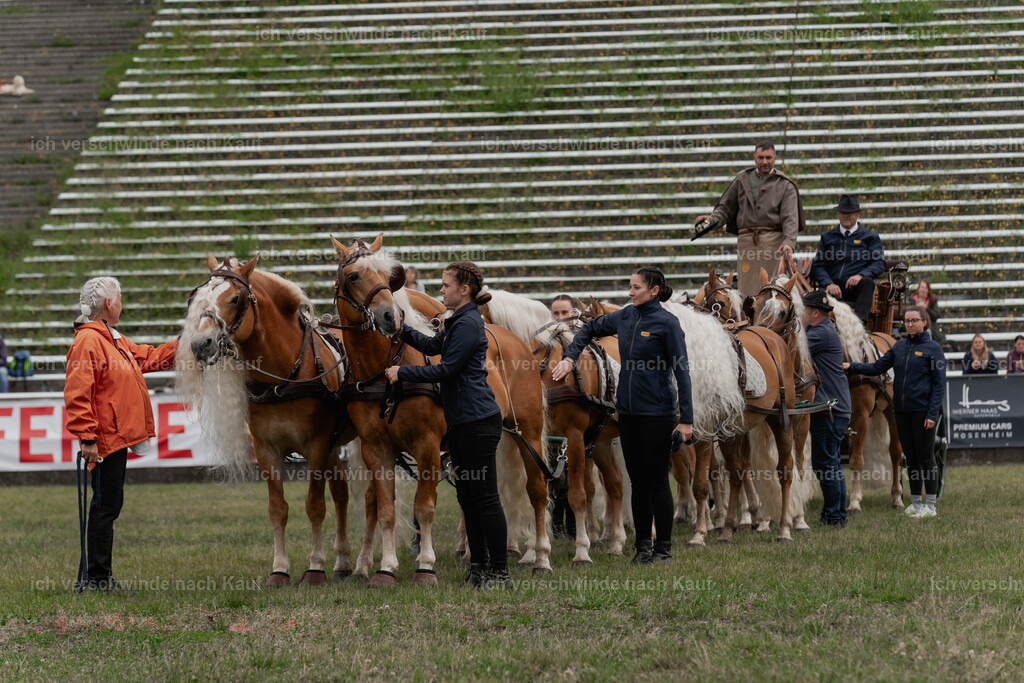 Showprogramm-165 | working equitationturnier fotograf videograf stoibphotography marixx film working equitation deutschland reitsport turnierfotografie eventfotografie equestrian events
