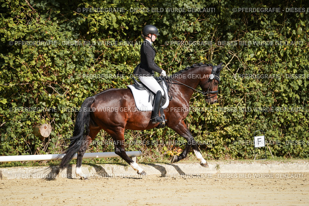 DSC08008 | Pferdegrafie