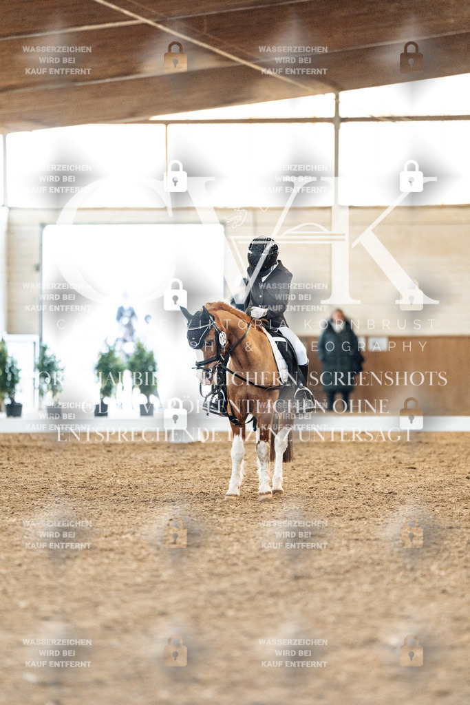 CK907241 | Turnierfotografie Pferdefotografie Trier Rheinland-Pfalz Pferdesport Reitsport Tierfotografie Sportfotografie Pferdevideo Pferdevideografie Equestrianvideography equestrianphotography  - Realisiert mit Pictrs.com