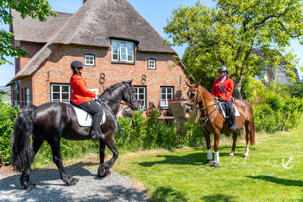 20250621-EAF_5118 | Eilun-Art-Fotografie Levke Martens, ihre Fotografin für Immobilien- und Landschaftsfotografie auf Föhr, Föhrer Motive als Poster, Leinwand, hinter Acrylglas oder stelle dir deinen eigenen Monatskalender zusammen, mit nur einem Klick