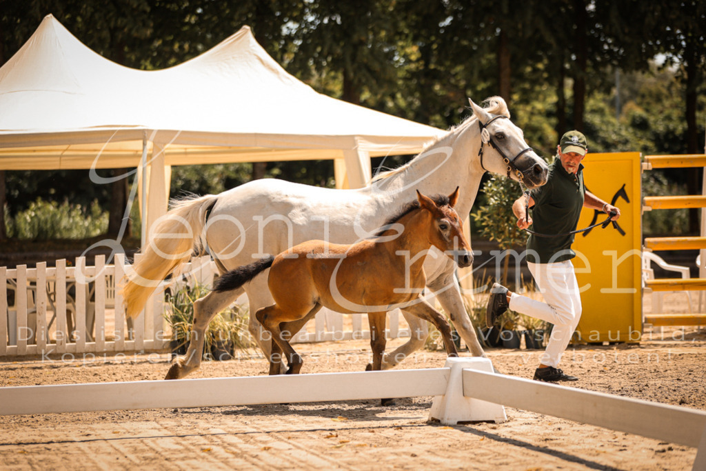 02.DoSR00160 | Leoni Ertmer Photography - Realisiert mit Pictrs.com