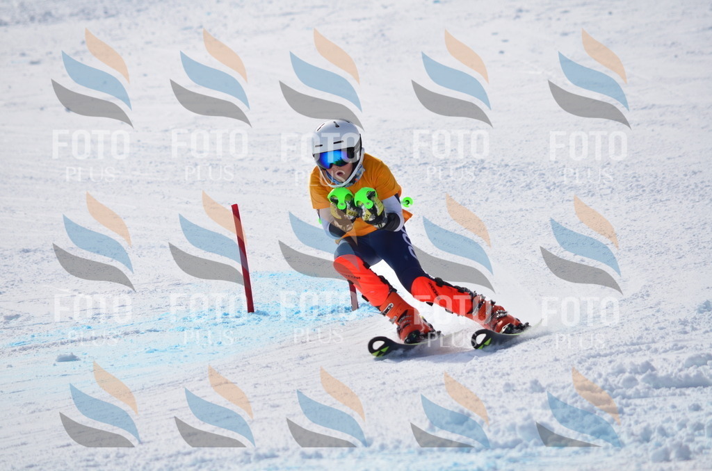 C9837 | holidayphoto