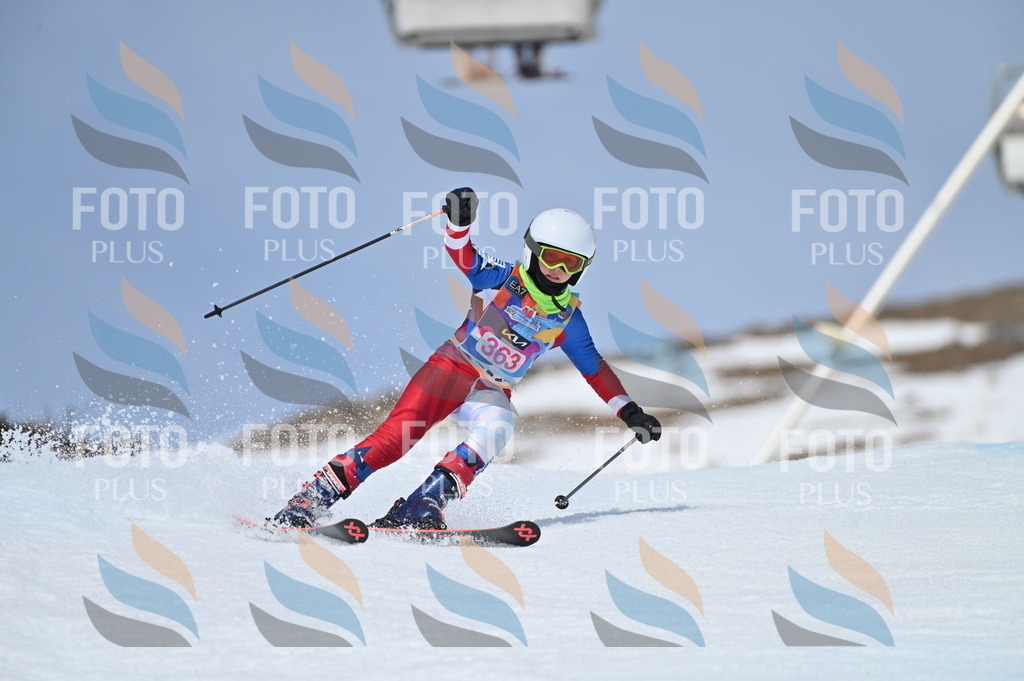 BGV_3891 | holidayphoto