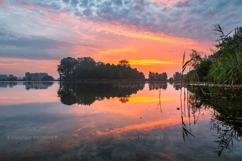 _1008394 | thowehey - Realisiert mit Pictrs.com