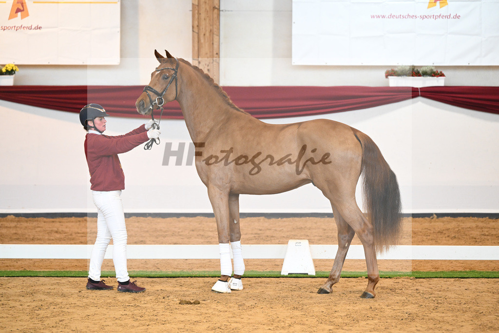 Kat-Nr. 52 v. Vaderland_Galneder_66220721 | hf-fotografie - Realisiert mit Pictrs.com