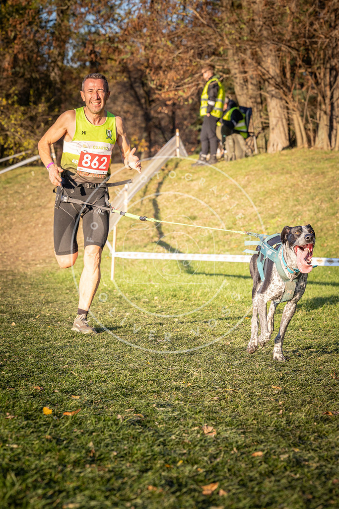 CaniXpix_0L8A0966 | Hundefotografie, Tierfotograf, Pfotenfotografie, Fotoshooting Hund, Hunde Portrait, Hundesport, Hundeportraits, Heideshooting, Hunde, Sportfotograf, Hundefotograf, Turnierhundsport, THS,  - Realisiert mit Pictrs.com