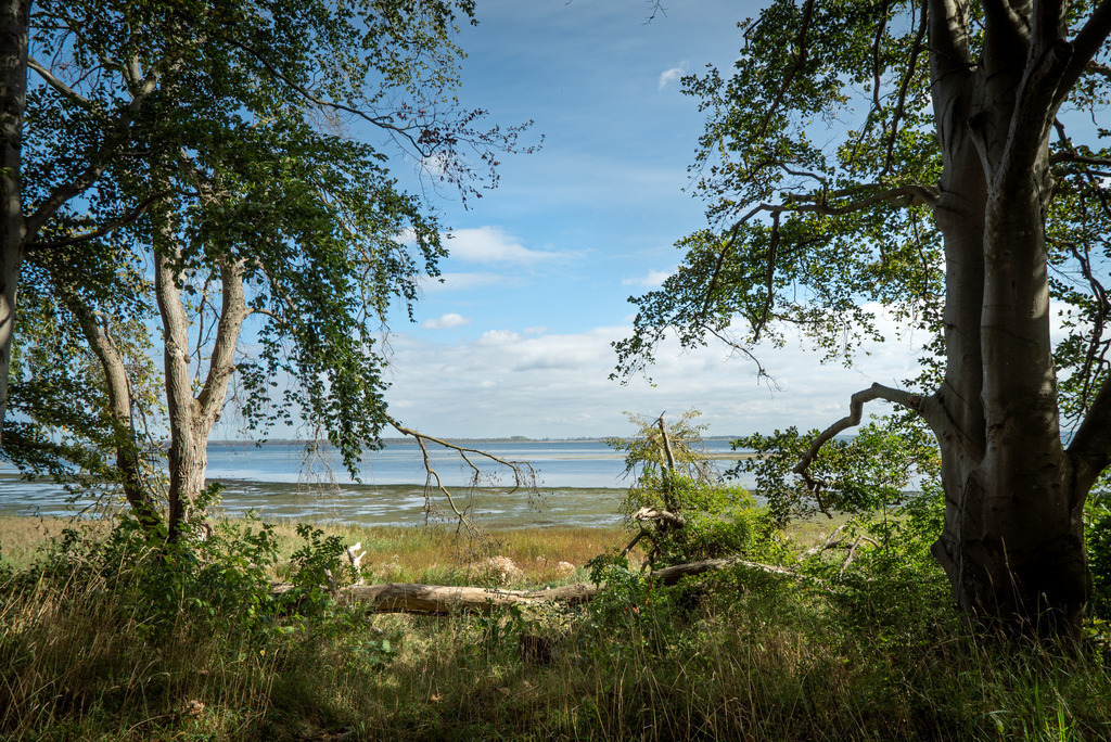 Hohenwieschendorf im Spätsommer | Ein Vormittag im Spätsommer 2023 an der Steilküste vor Hohenwieschendorf in Mecklenburg-Vorpommern.  - Realisiert mit Pictrs.com