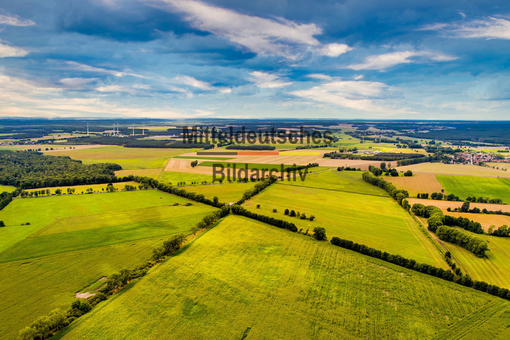Landschaft zwischen Mahlwinkel und Angern Börde-7305 | Landschaft Börde - Realisiert mit Pictrs.com
