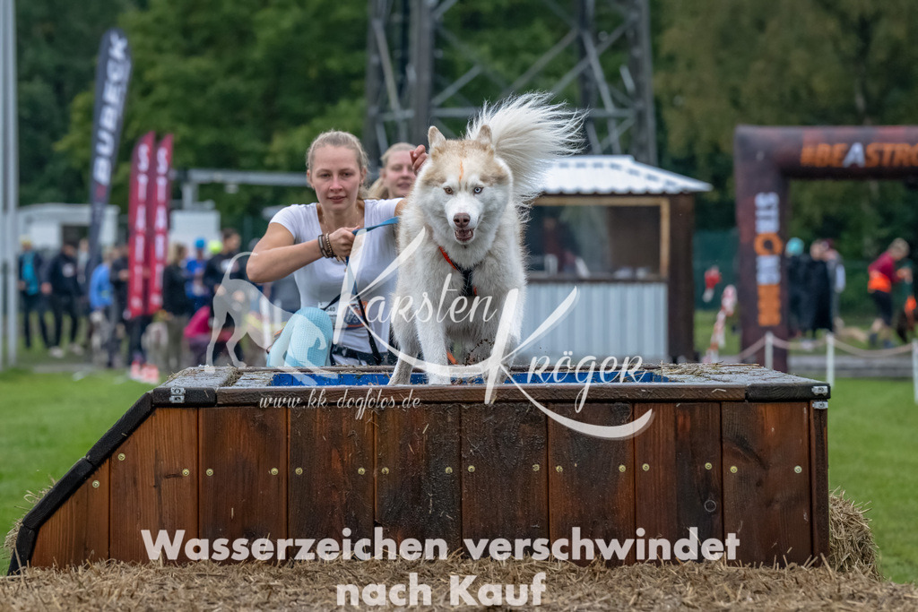 1212- | kk-dogfotos