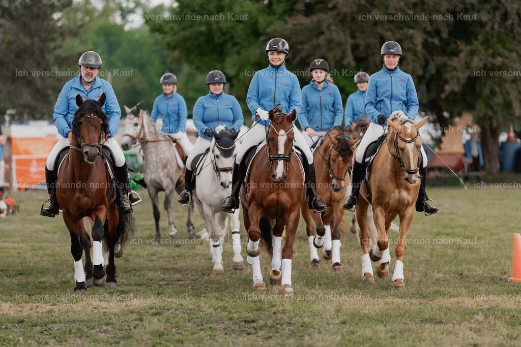 Showprogramm-280 | working equitationturnier fotograf videograf stoibphotography marixx film working equitation deutschland reitsport turnierfotografie eventfotografie equestrian events