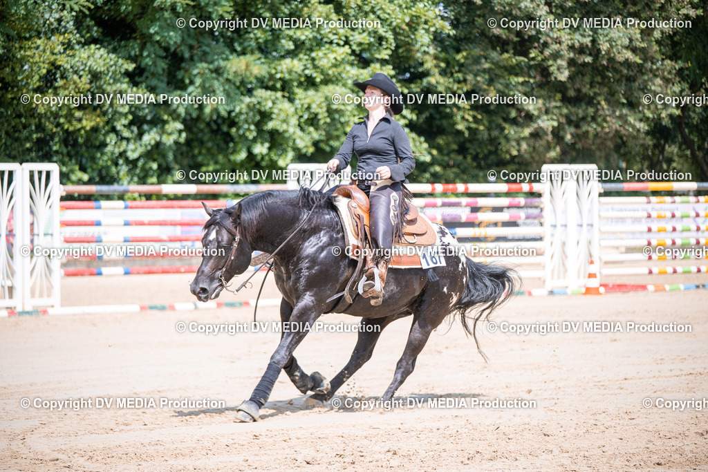 ZS3_5247 | dv-media-shop - Realisiert mit Pictrs.com