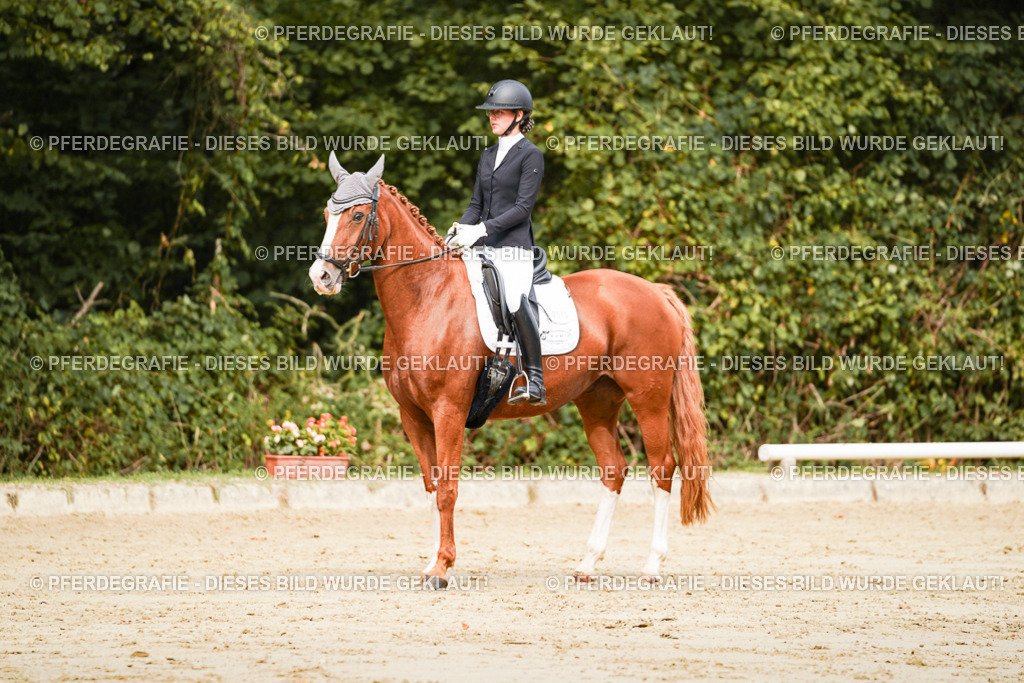 DSC01840 | Pferdegrafie