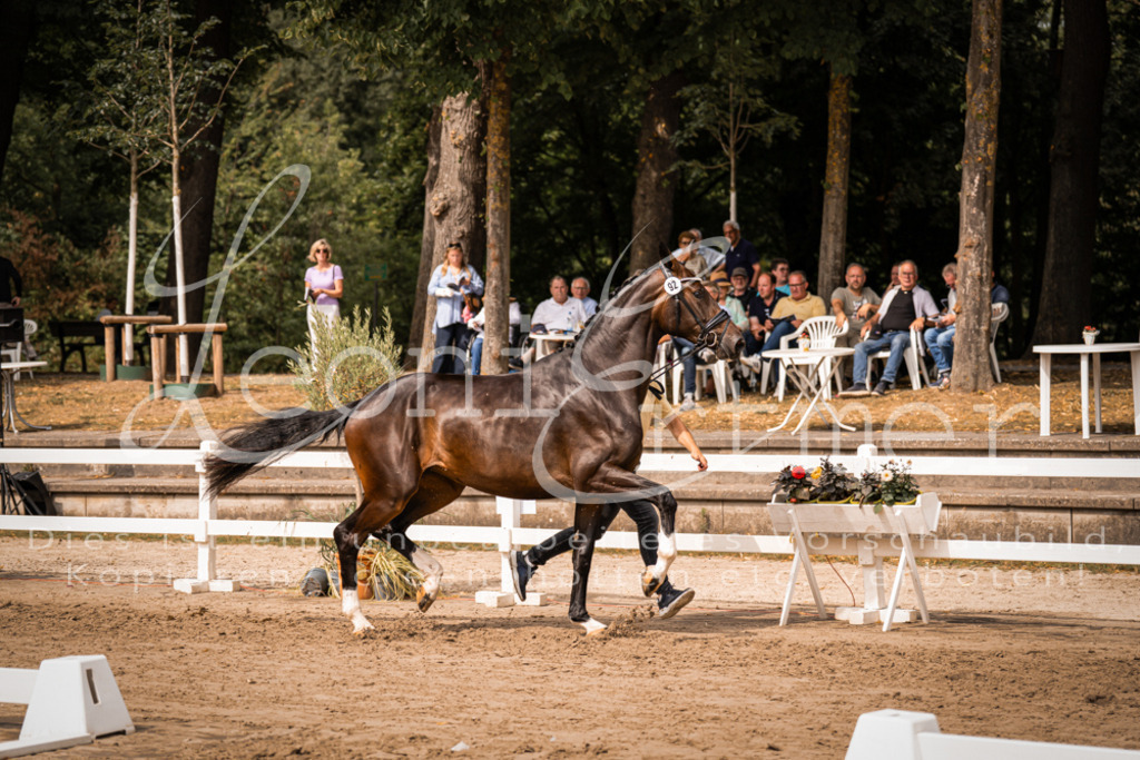 6.Fr00003 | Leoni Ertmer Photography - Realisiert mit Pictrs.com