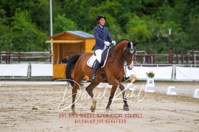 DKP47219 | Turniersportfotografie; Pferdefotografie; Dressurfotografie