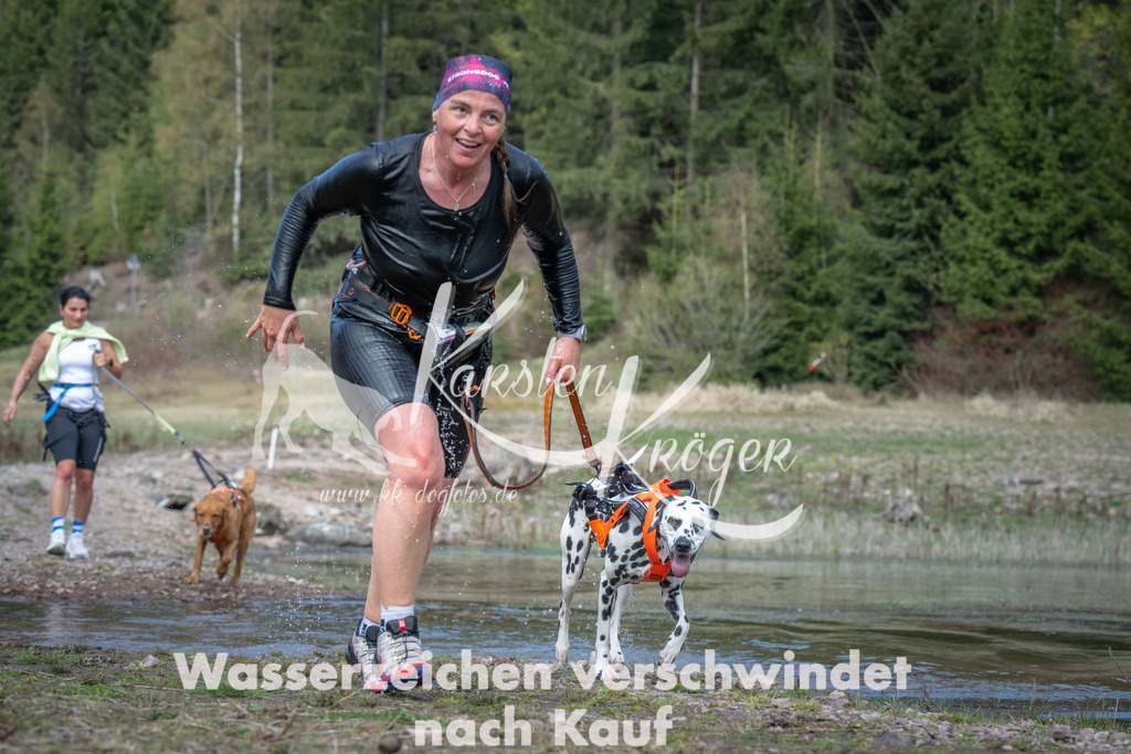 1100_ZZ92608 | kk-dogfotos