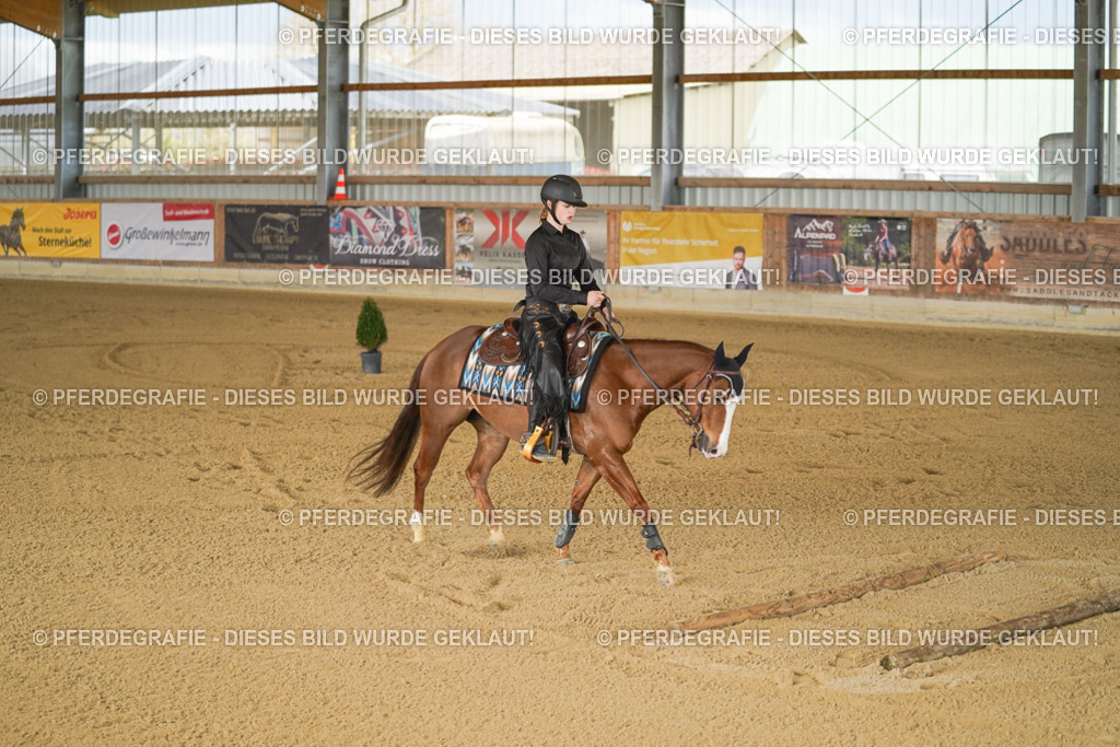 DSC05834 | Pferdegrafie