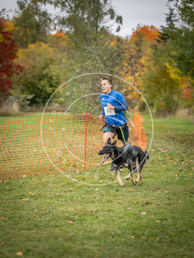 Pfotenfotografie_DV3A2563 | Hundefotografie, Tierfotograf, Pfotenfotografie, Fotoshooting Hund, Hunde Portrait, Hundesport, Hundeportraits, Heideshooting, Hunde, Sportfotograf, Hundefotograf, Turnierhundsport, THS,  - Realisiert mit Pictrs.com