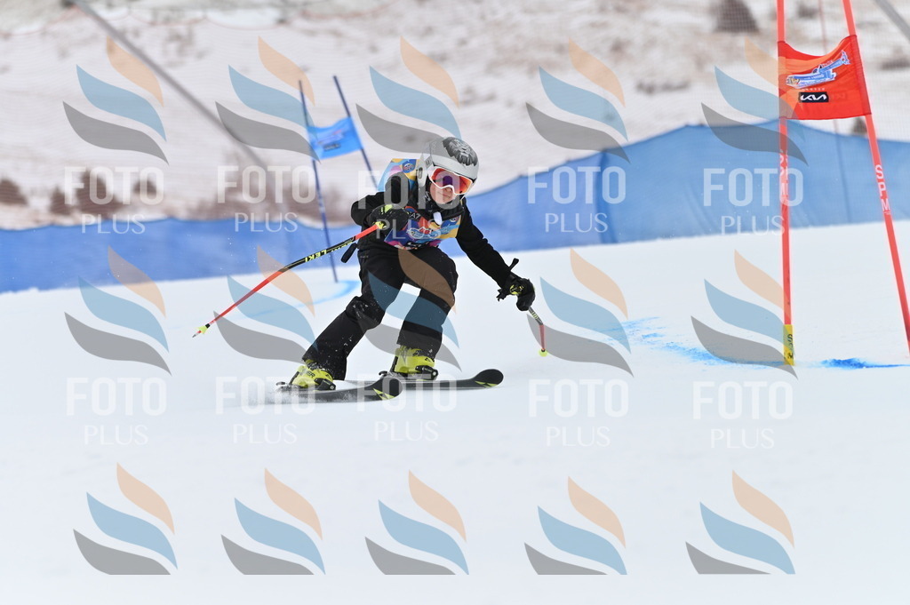 BGV_9659 | holidayphoto