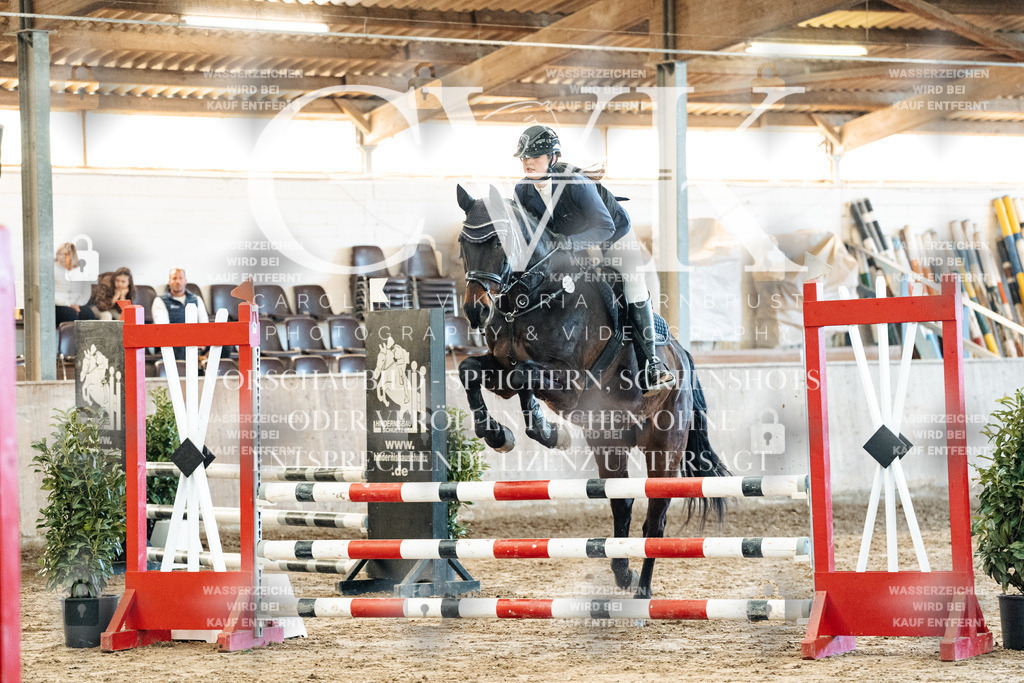 CK904261 | Turnierfotografie Pferdefotografie Trier Rheinland-Pfalz Pferdesport Reitsport Tierfotografie Sportfotografie Pferdevideo Pferdevideografie Equestrianvideography equestrianphotography  - Realized with Pictrs.com