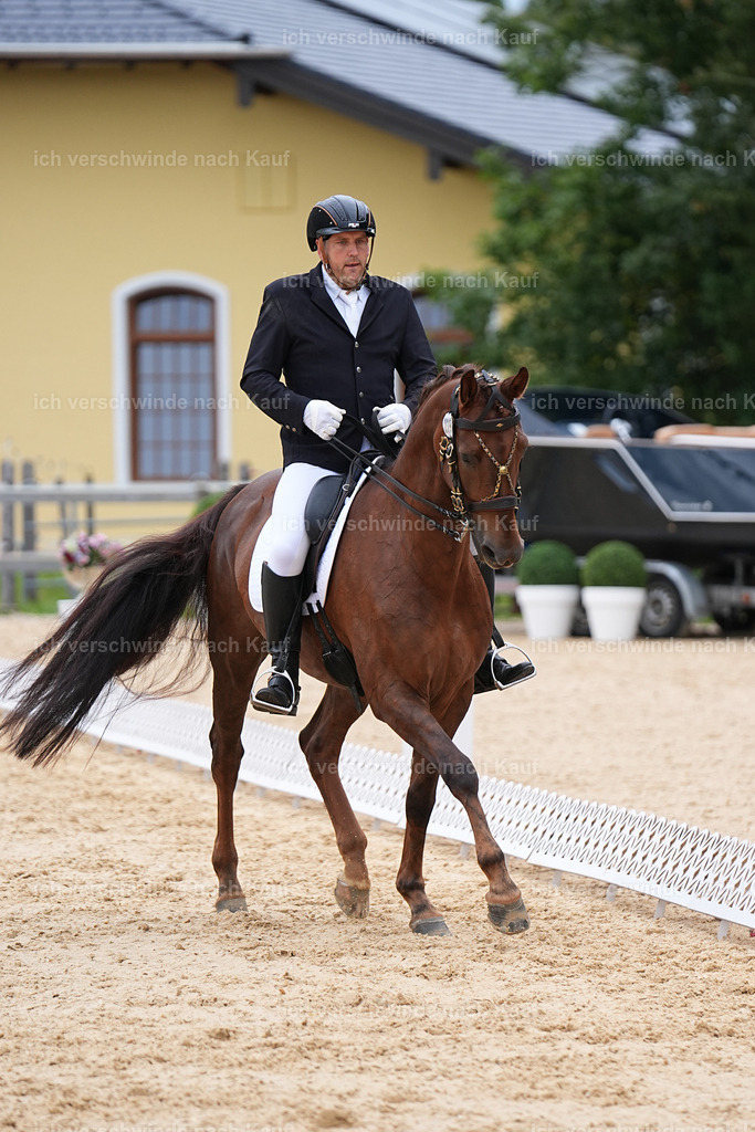 3-239-Dressur M_-Marixx-1924 | working equitationturnier fotograf videograf stoibphotography marixx film working equitation deutschland reitsport turnierfotografie eventfotografie equestrian events
