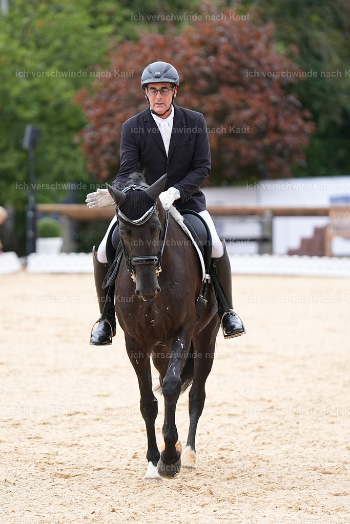 3-156-Dressur M_-Marixx-1905 | working equitationturnier fotograf videograf stoibphotography marixx film working equitation deutschland reitsport turnierfotografie eventfotografie equestrian events