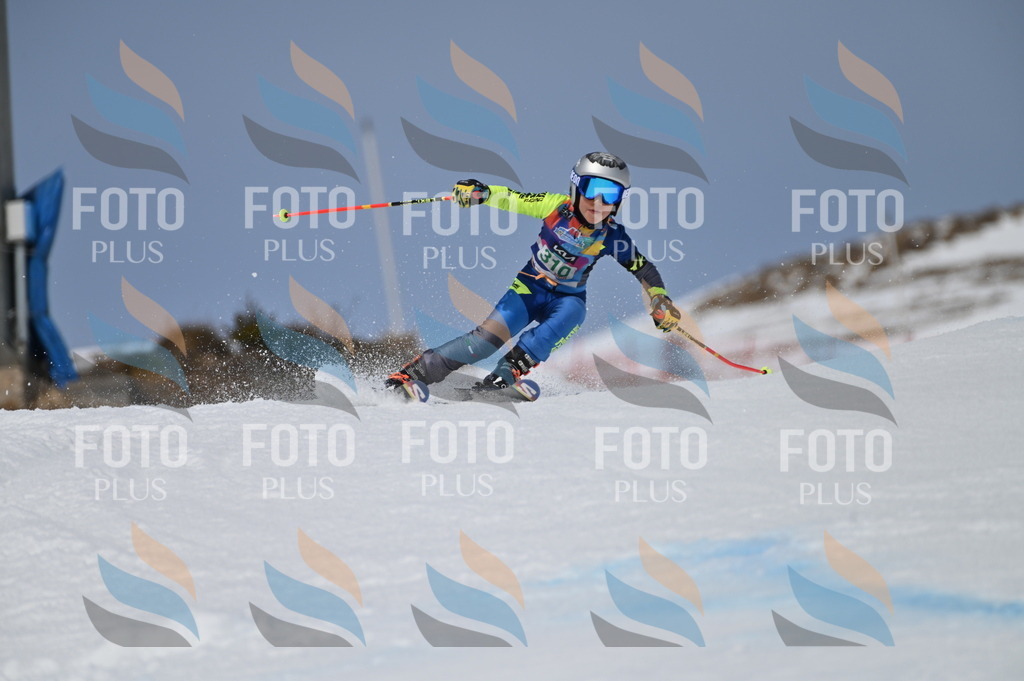 BGV_6137 | holidayphoto