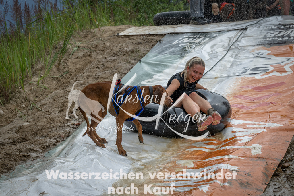 1546_ZZ98884 | kk-dogfotos